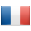shiny France icon